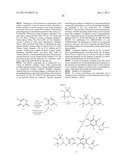 PROTEIN KINASE C INHIBITORS AND USES THEREOF diagram and image