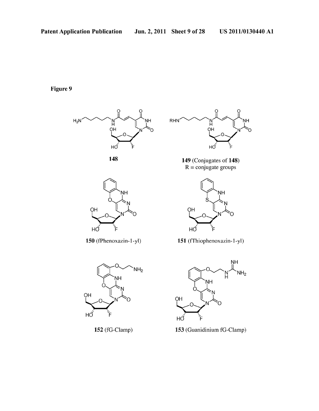 NON-NATURAL RIBONUCLEOTIDES, AND METHODS OF USE THEREOF - diagram, schematic, and image 10