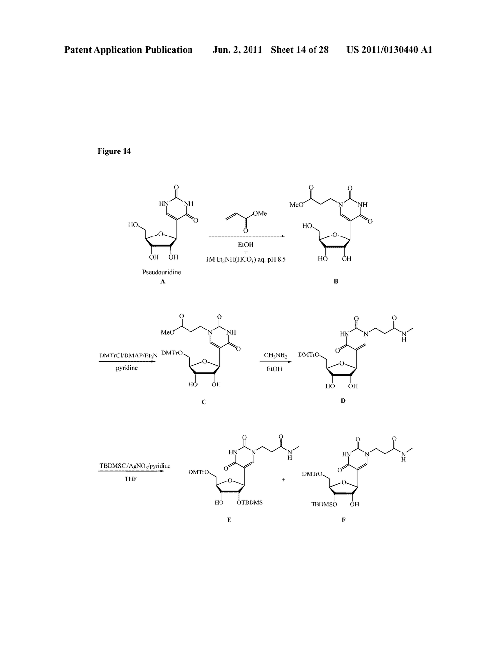 NON-NATURAL RIBONUCLEOTIDES, AND METHODS OF USE THEREOF - diagram, schematic, and image 15