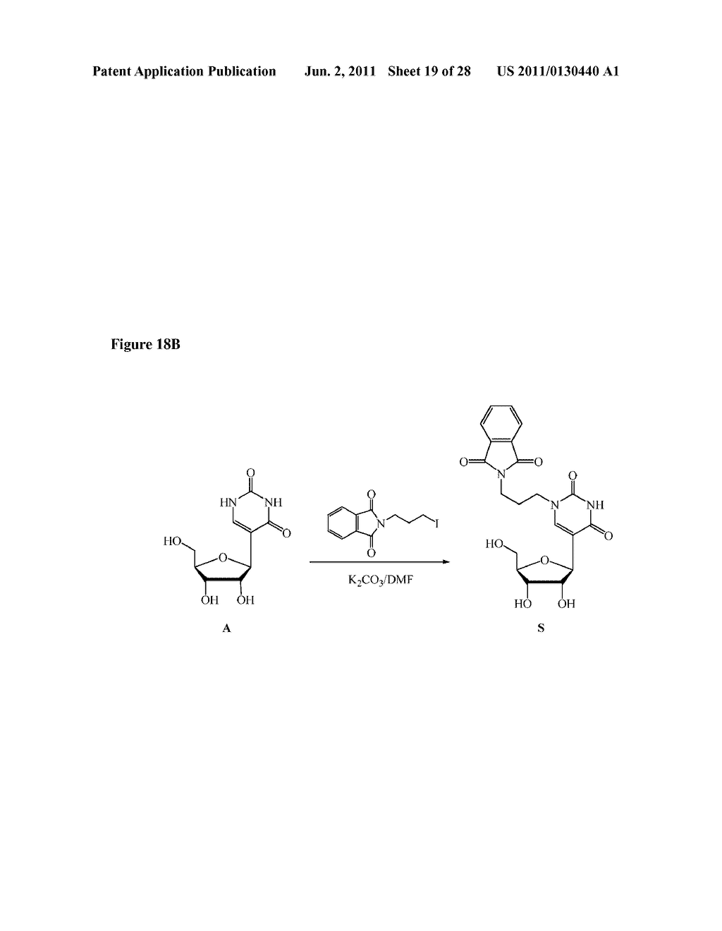 NON-NATURAL RIBONUCLEOTIDES, AND METHODS OF USE THEREOF - diagram, schematic, and image 20