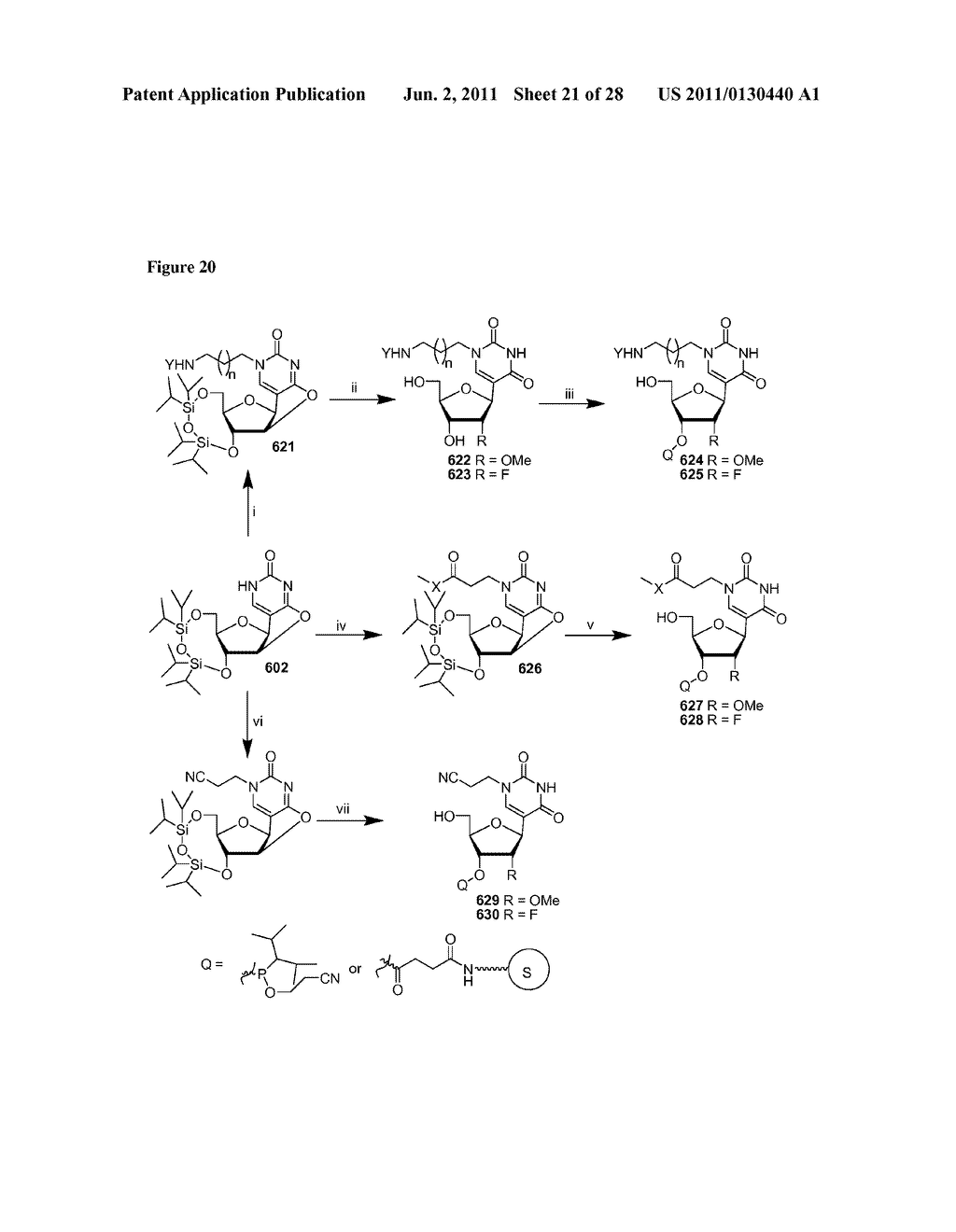 NON-NATURAL RIBONUCLEOTIDES, AND METHODS OF USE THEREOF - diagram, schematic, and image 22