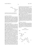 OLIGOMERIC COMPOUNDS HAVING AT LEAST ONE NEUTRALLY LINKED TERMINAL     BICYCLIC NUCLEOSIDES diagram and image