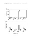 METHODS AND COMPOSITIONS FOR TARGETED DELIVERY OF GENE THERAPEUTIC VECTORS diagram and image