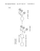 MODIFIED NATURAL RUBBER PARTICLE, PRODUCTION METHOD THEREOF, AND MODIFIED     NATURAL RUBBER LATEX diagram and image