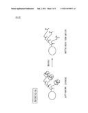 MODIFIED NATURAL RUBBER PARTICLE, PRODUCTION METHOD THEREOF, AND MODIFIED     NATURAL RUBBER LATEX diagram and image