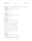 ANTIBODIES WITH DECREASED DEAMIDATION PROFILES diagram and image