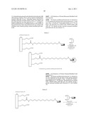 PROTEIN MONOMER, PROTEIN POLYMER OBTAINED FROM SAID MONOMER, AND DEVICE     THAT CONTAINS THEM diagram and image