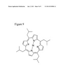 USE OF BUCKYSOME OR CARBON NANOTUBE FOR DRUG DELIVERY diagram and image