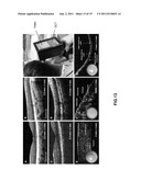 APPARATUS FOR BIOMEDICAL IMAGING diagram and image