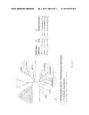 COMPOSITIONS AND METHODS FOR DIFFERENTIAL REGULATION OF FATTY ACID     UNSATURATION IN MEMBRANE LIPIDS AND SEED OIL diagram and image