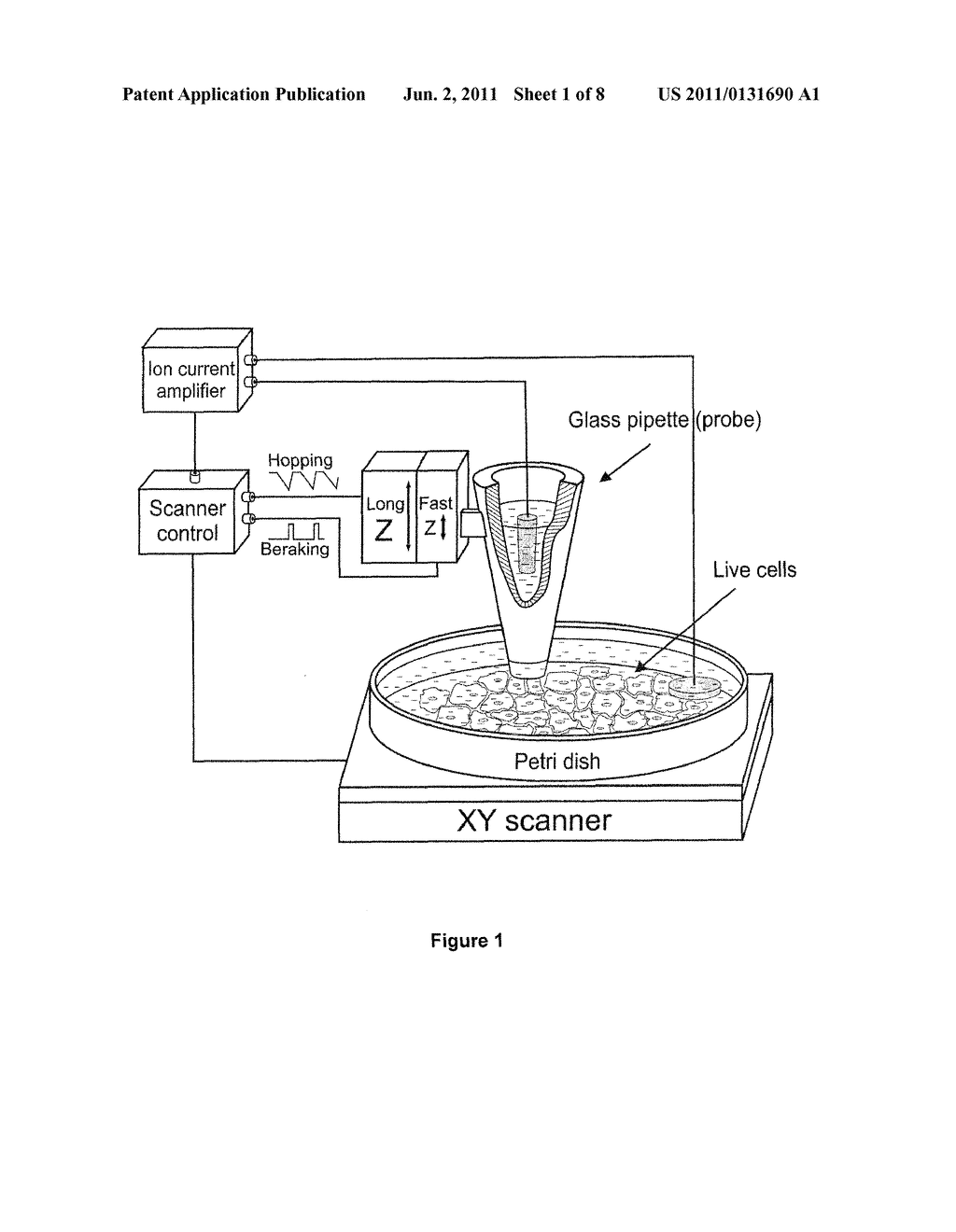 Scanning Ion Conductance Microscopy - diagram, schematic, and image 02