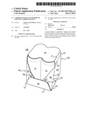 CARRIER PACKAGES AND METHODS OF ERECTING CARRIER PACKAGES diagram and image