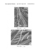 Chemically functionalized submicron graphitic fibrils, methods for     producing same and compositions containing same diagram and image