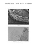 Chemically functionalized submicron graphitic fibrils, methods for     producing same and compositions containing same diagram and image