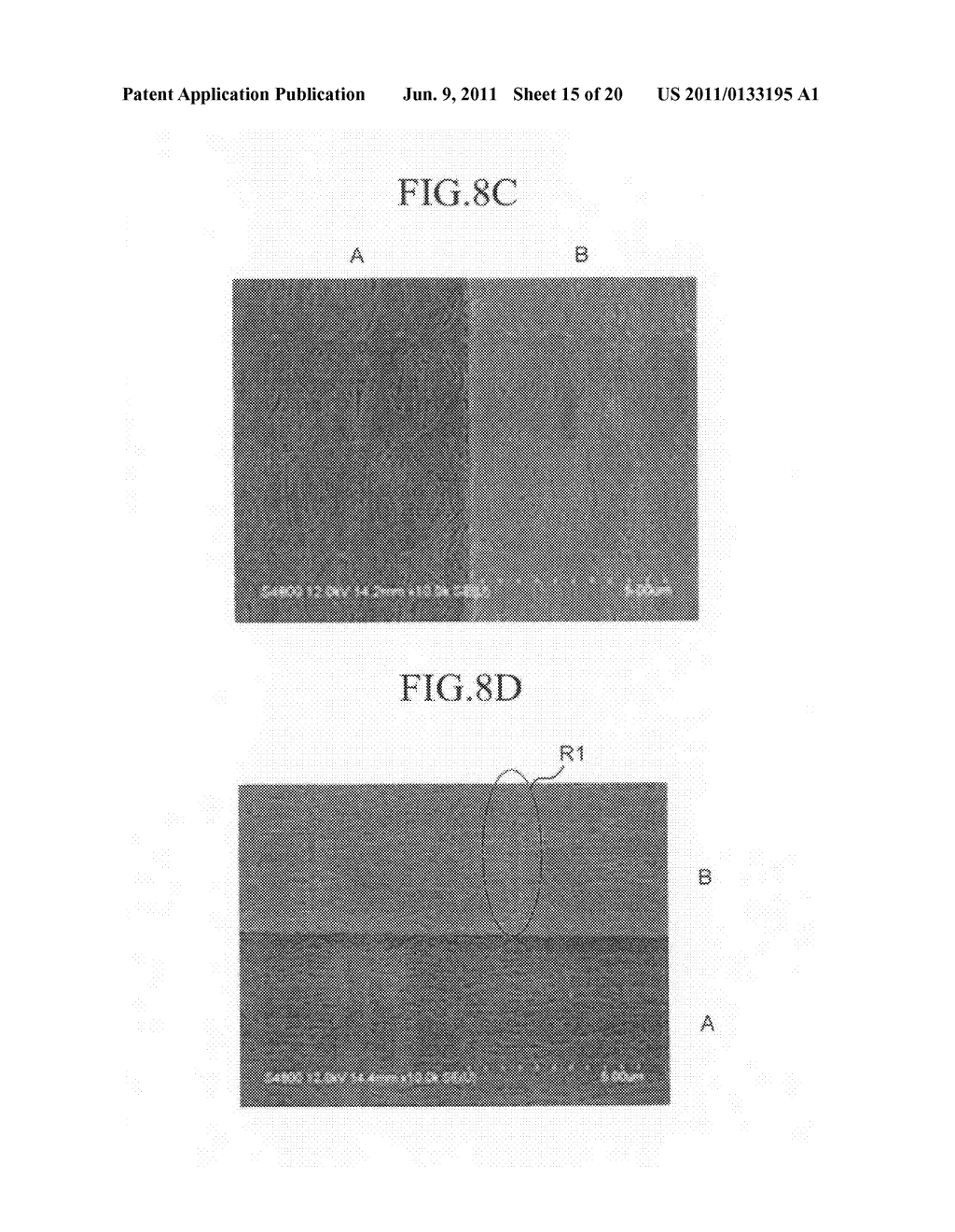 Thin film transistor, display device including the same, and method of     manufacturing the display device - diagram, schematic, and image 16