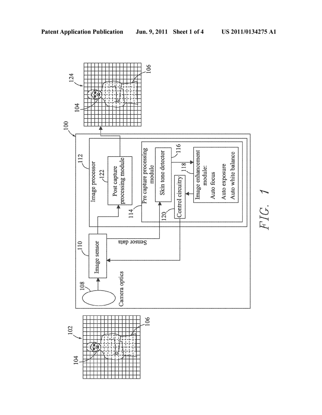 SKIN TONE DETECTION IN A DIGITAL CAMERA - diagram, schematic, and image 02