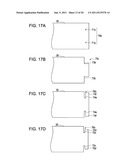 PRINT DEVICE, TRANSPORT UNIT, TRANSPORT ROLLER AND METHOD OF PRODUCING THE     TRANSPORT ROLLER diagram and image