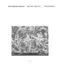 USE OF A WEAKLY IONIC ACRYLIC POLYMER IN THE SYNTHESIS OF PRECIPITATED     CALCIUM CARBONATE diagram and image