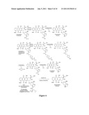 METHODS OF TREATING CANCER WITH DOXAZOLIDINE AND PRODRUGS THEREOF diagram and image