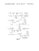 METHODS OF TREATING CANCER WITH DOXAZOLIDINE AND PRODRUGS THEREOF diagram and image