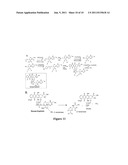 METHODS OF TREATING CANCER WITH DOXAZOLIDINE AND PRODRUGS THEREOF diagram and image