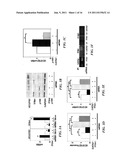 METHODS FOR THE MODULATION OF ANGIOGENESIS diagram and image