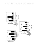 METHODS FOR THE MODULATION OF ANGIOGENESIS diagram and image