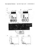 GENES AND POLYPEPTIDES RELATING TO BREAST CANCERS diagram and image