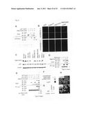 GENES AND POLYPEPTIDES RELATING TO BREAST CANCERS diagram and image