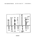 Vascular Endothelial Growth Factor C (VEGF-C) Protein and Gene, Mutants     Thereof, and Uses Thereof diagram and image