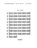 Vascular Endothelial Growth Factor C (VEGF-C) Protein and Gene, Mutants     Thereof, and Uses Thereof diagram and image