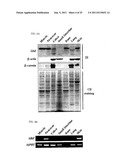 Novel Use of Idbf diagram and image