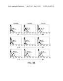 HLA-G COMPOSITIONS AND METHODS OF USE THEREOF diagram and image