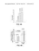 HLA-G COMPOSITIONS AND METHODS OF USE THEREOF diagram and image