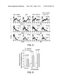 HLA-G COMPOSITIONS AND METHODS OF USE THEREOF diagram and image