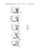 HLA-G COMPOSITIONS AND METHODS OF USE THEREOF diagram and image