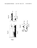 RAPID, EFFICIENT PURIFICATION OF HSV-SPECIFIC T-LYMPHOCYTES AND HSV     ANTIGENS IDENTIFIED VIA SAME diagram and image