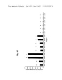 RAPID, EFFICIENT PURIFICATION OF HSV-SPECIFIC T-LYMPHOCYTES AND HSV     ANTIGENS IDENTIFIED VIA SAME diagram and image