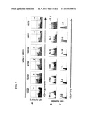 RAPID, EFFICIENT PURIFICATION OF HSV-SPECIFIC T-LYMPHOCYTES AND HSV     ANTIGENS IDENTIFIED VIA SAME diagram and image