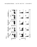 RAPID, EFFICIENT PURIFICATION OF HSV-SPECIFIC T-LYMPHOCYTES AND HSV     ANTIGENS IDENTIFIED VIA SAME diagram and image