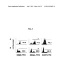 RAPID, EFFICIENT PURIFICATION OF HSV-SPECIFIC T-LYMPHOCYTES AND HSV     ANTIGENS IDENTIFIED VIA SAME diagram and image