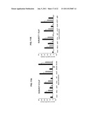 RAPID, EFFICIENT PURIFICATION OF HSV-SPECIFIC T-LYMPHOCYTES AND HSV     ANTIGENS IDENTIFIED VIA SAME diagram and image