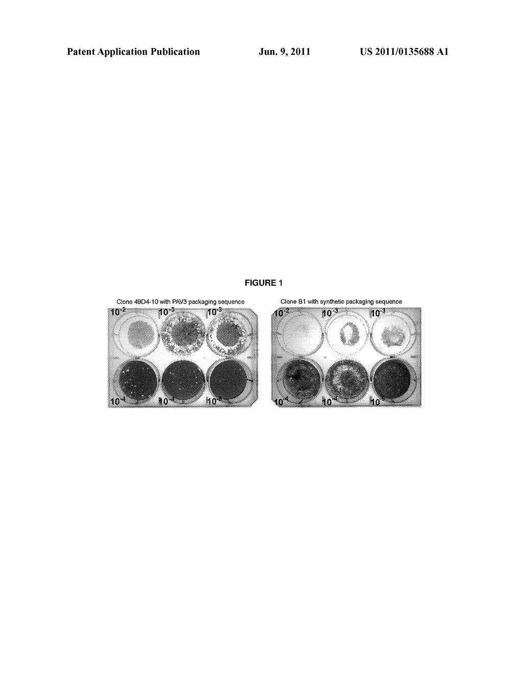 Methods and Compositions for Increasing Titer of Recombinant Porcine     Adenovirus-3 Vectors - diagram, schematic, and image 02