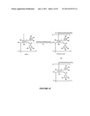 ALDEHYDE CONJUGATED FLAVONOID PREPARATIONS diagram and image