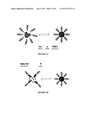 ALDEHYDE CONJUGATED FLAVONOID PREPARATIONS diagram and image