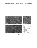 METHOD FOR DEPOSITING A CARBON NANOTUBE THIN FILM COATING ON AN ARBITRARY     SUBSTRATE DIRECTLY FROM CHEMICAL VAPOR DEPOSITION SYNTHESIS diagram and image