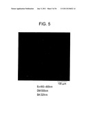 FUEL CELL, METHOD FOR PRODUCING FUEL CELL, ELECTRONIC APPARATUS,     ENZYME-IMMOBILIZED ELECTRODE,  BIOSENSOR, ENERGY-CONVERSION ELEMENT,     CELLS, ORGANELLES, AND BACTERIA diagram and image