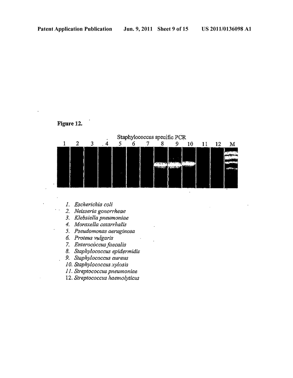 METHODS FOR SIMPLIFYING MICROBIAL NUCLEIC ACIDS BY CHEMICAL MODIFICATION     OF CYTOSINES - diagram, schematic, and image 10