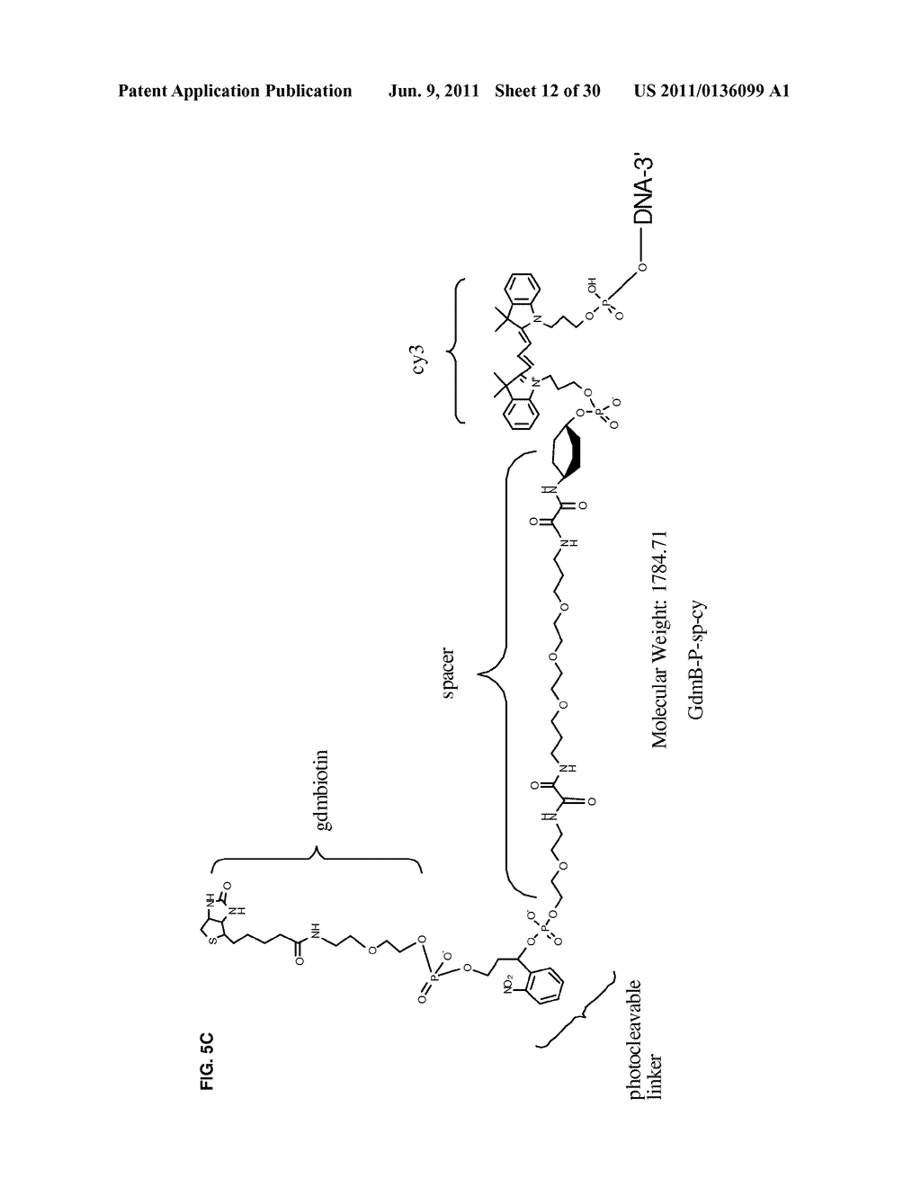 Multiplexed Analyses of Test Samples - diagram, schematic, and image 13