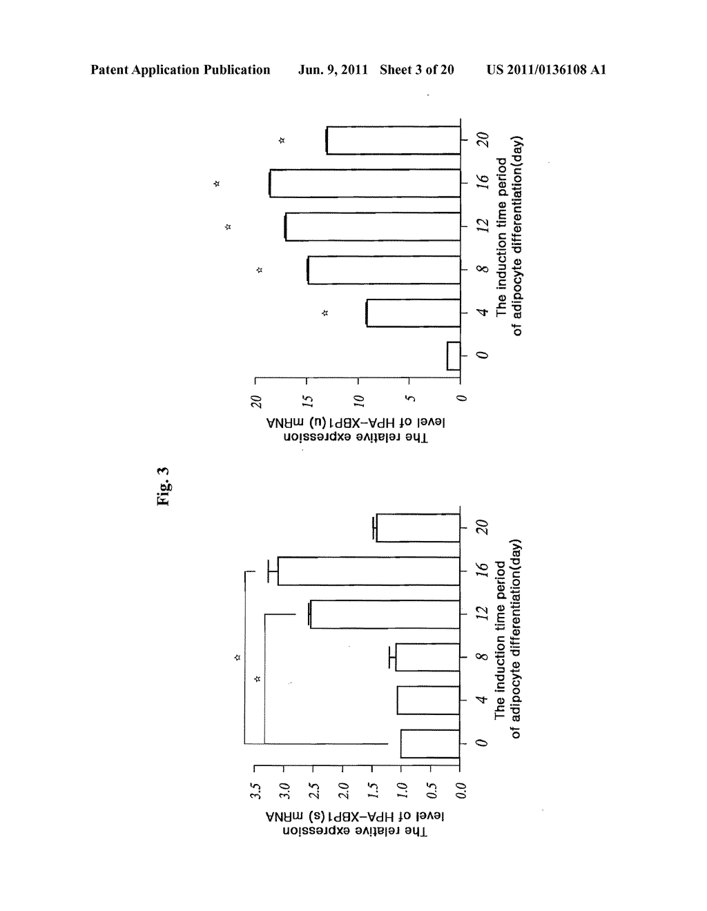 XBP1(S) Protein Acting as an Adipocyte Differentiation Marker Having a     Facility to Regulate Differentiation into Adipocytes, and an Application     Therefor - diagram, schematic, and image 04